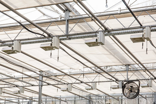 Horticulture lighting standard ANSI/ASABE S640 - GrowFlux