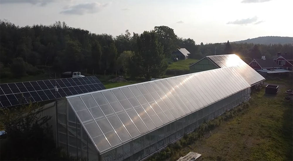 Load video: Finn &amp; Roots in Vermont use GrowFlux&#39;s Precision PAR responsive lighting controls to grow sustainable, aquaponic food crops